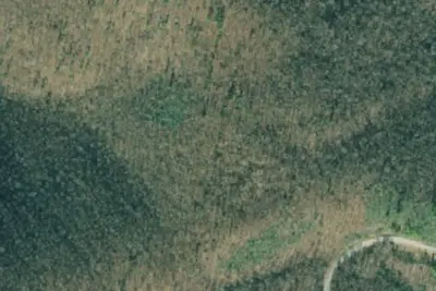 Camp site