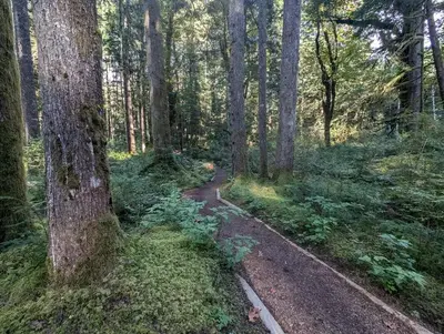 Trail