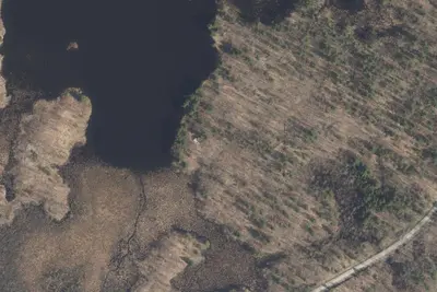 Camp site