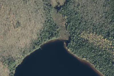 Camp site