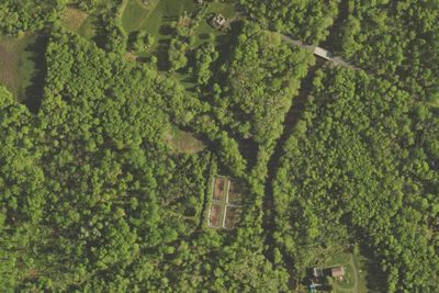 Camp Tohi