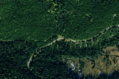U.S. Forest Service Site 313