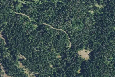 Camp site
