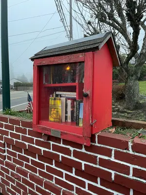 2024-12-04, Little Free Library (University Place, Washington), 073923AM