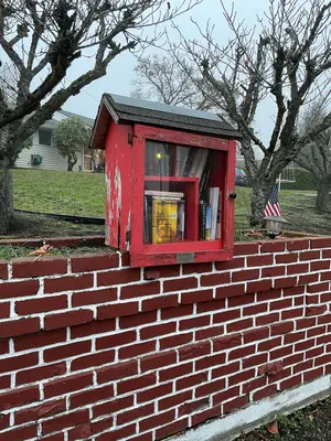 2024-12-04, Little Free Library (University Place, Washington), 073915AM