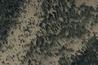 Camp site