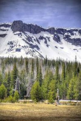 Three Creeks Meadow Campground
