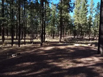 HOYER Campground