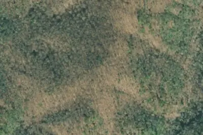 Camp site
