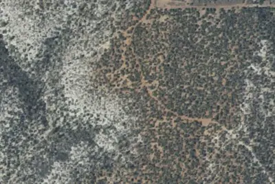 Camp site