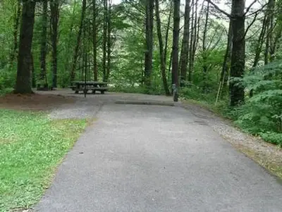 Stony Fork Campground