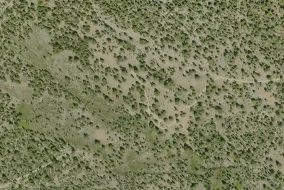 Camp site