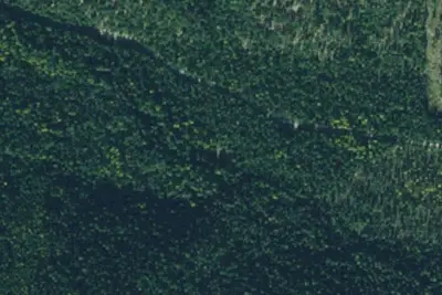Tamarack 004