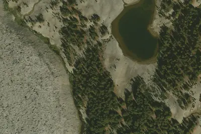 U.S. Forest Service Site #7