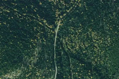 Pnt01 Rd7183 Site a