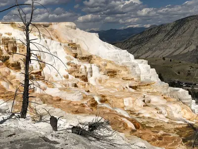 Canary Spring (Mammoth Hot Springs, Yellowstone National Park) 2021-08-09, 09