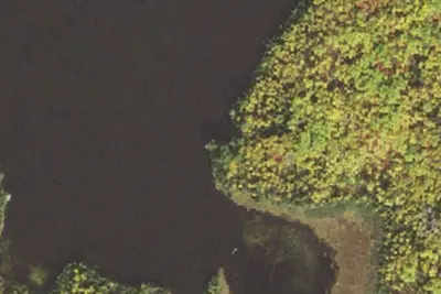Camp site