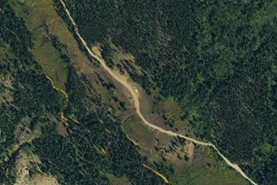Designated Campsite