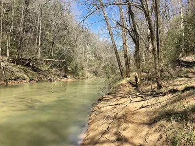 Sipsey Wilderness 2018 04