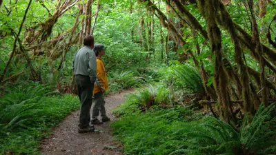 Hiking at Brown Creek, Olympic National Forest (26366409741)