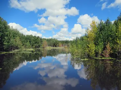 Beaver Pond Trail (27412106979)