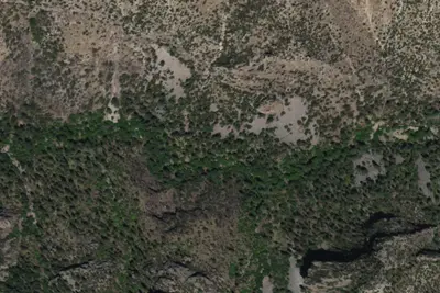 Camp site (USFS)