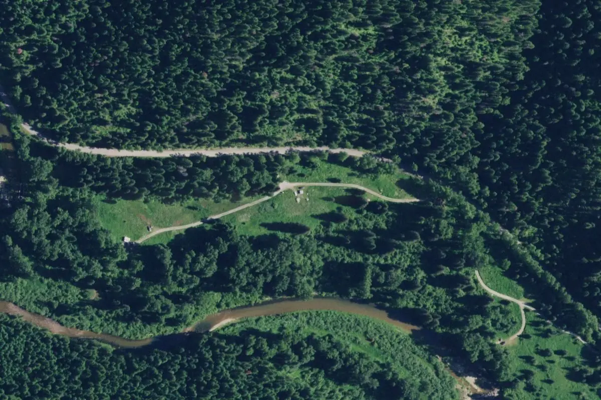 Aerial view