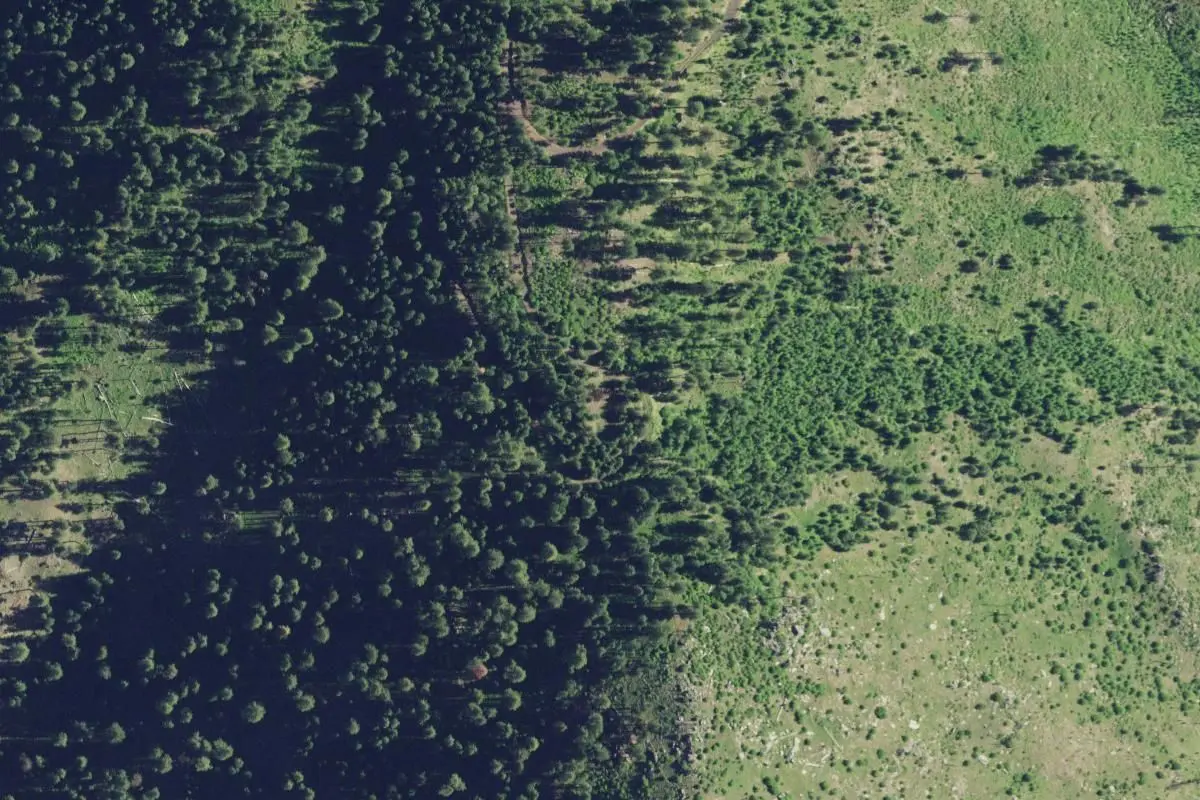 Aerial view