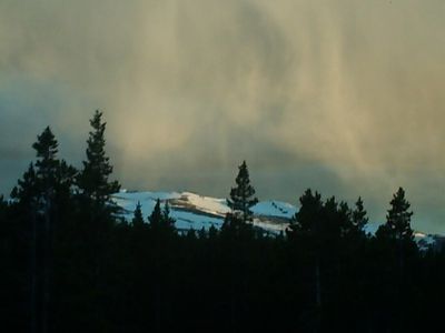 Big horns - panoramio