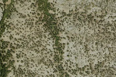 Camp site
