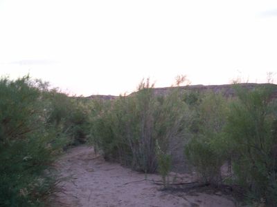 Nice 4 camping - panoramio