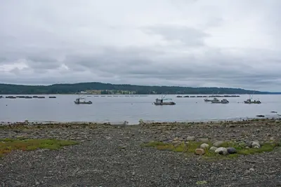 Denman Island across Baynes Sound 1