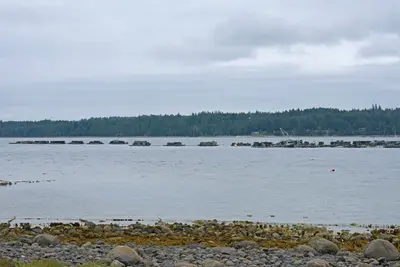 Denman Island across Baynes Sound 2