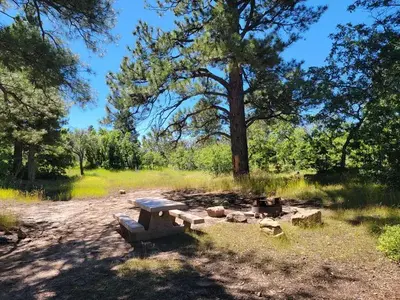An individual campsite with a picnic table and fire ring shaded by ponderosas.