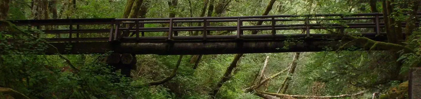 Whittaker Creek bridge near the seasonal dam
