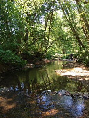 Whittaker Creek Recreation Site