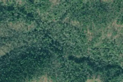 Camp site