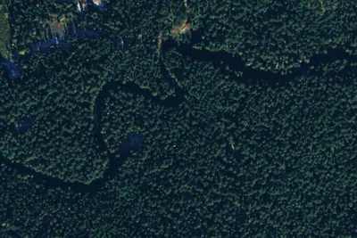 Camp site