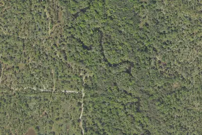 Camp site