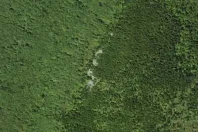 Camp site