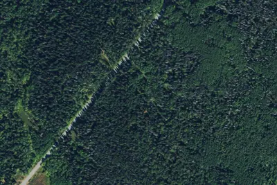 Camp site