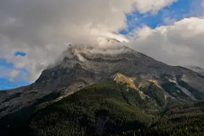 Field, BC - panoramio (1)