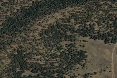 Camp site
