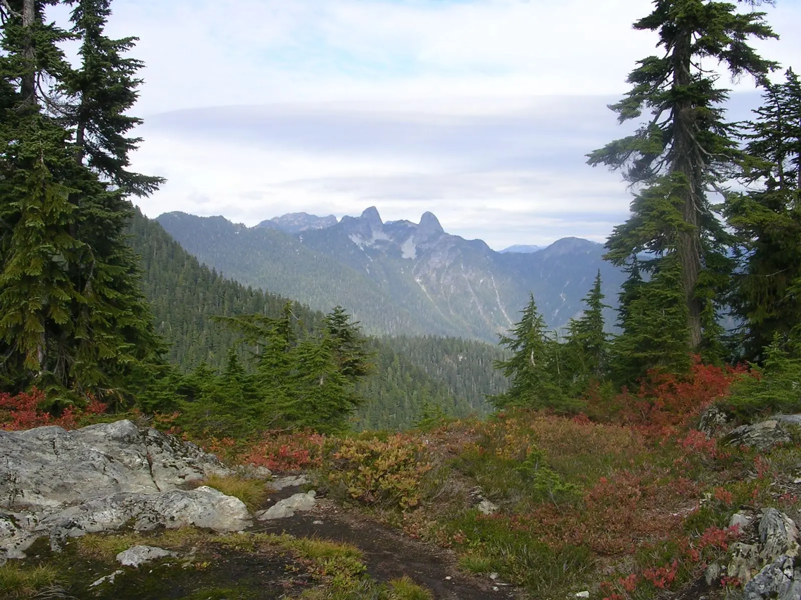Photo of Cypress Park