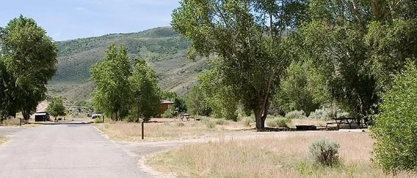 Campground Road, Trees, Signs, Mountains, Blue Sky
