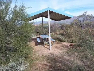 Site 187