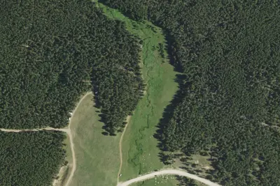 Camp site