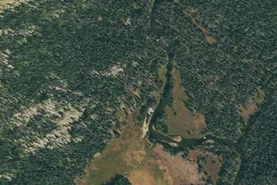 U.S. Forest Service Site 20
