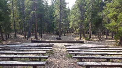 Pickle Gulch