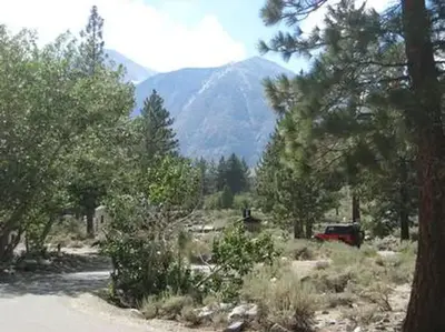 Upper Sage Flat